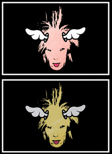 Warhol by D*Face